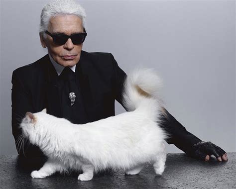 karl lagerfeld with cat